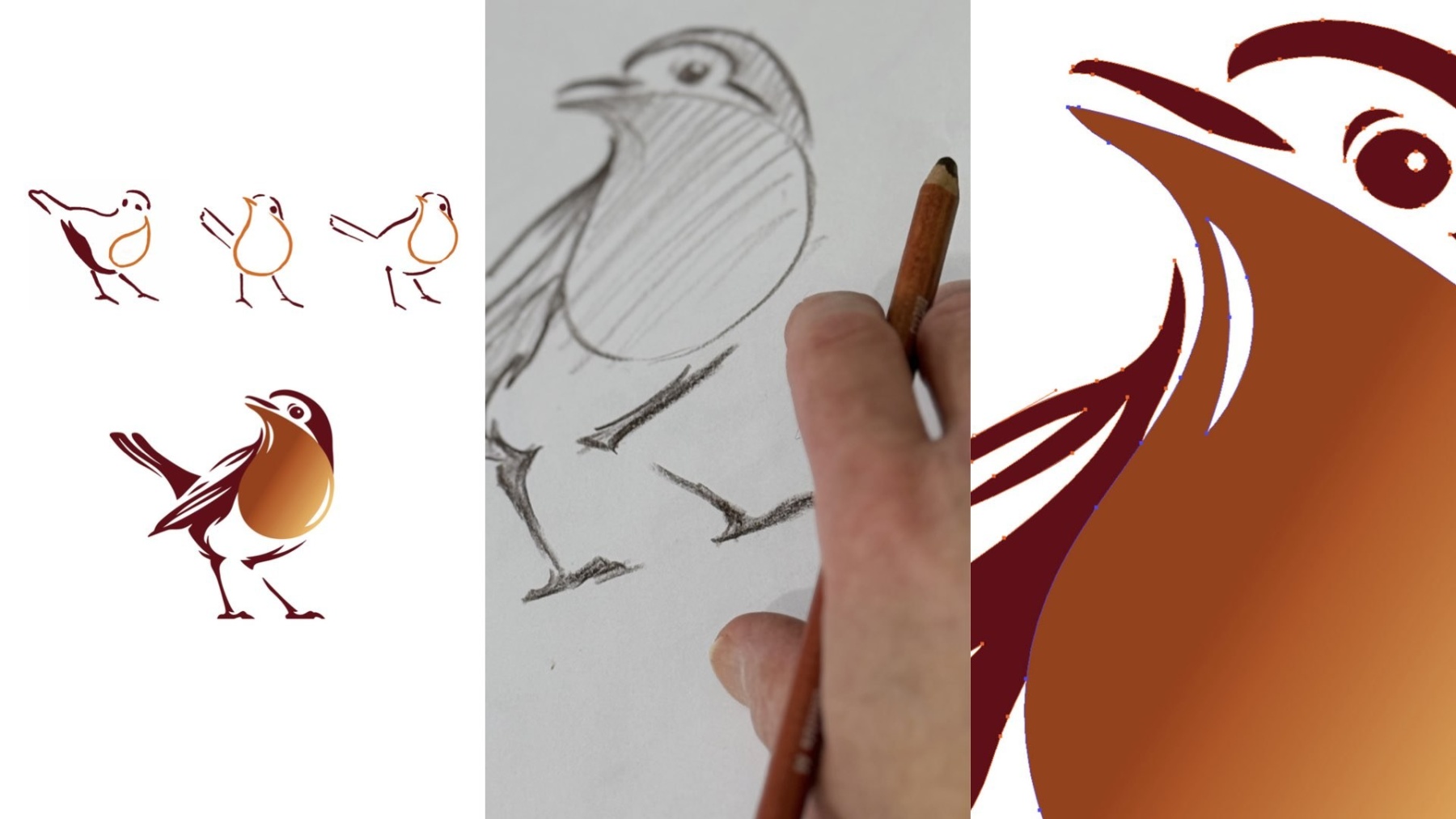 16x9 Robin 02 jpg 001